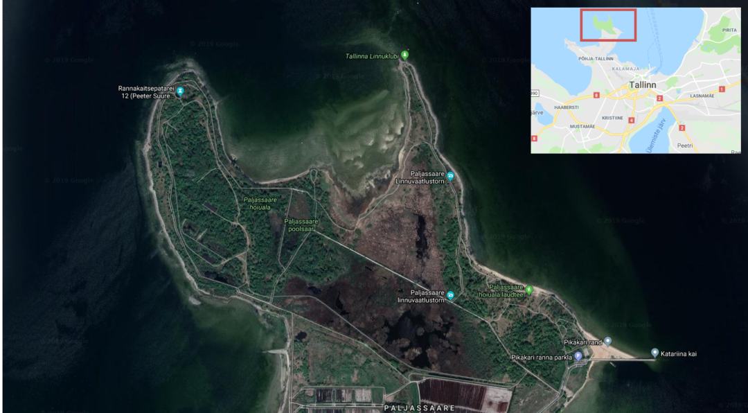Paljassaare special conservation area - Google Maps screenshot