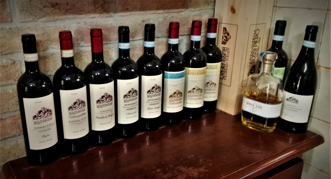 Selection of Bussi Piero wines